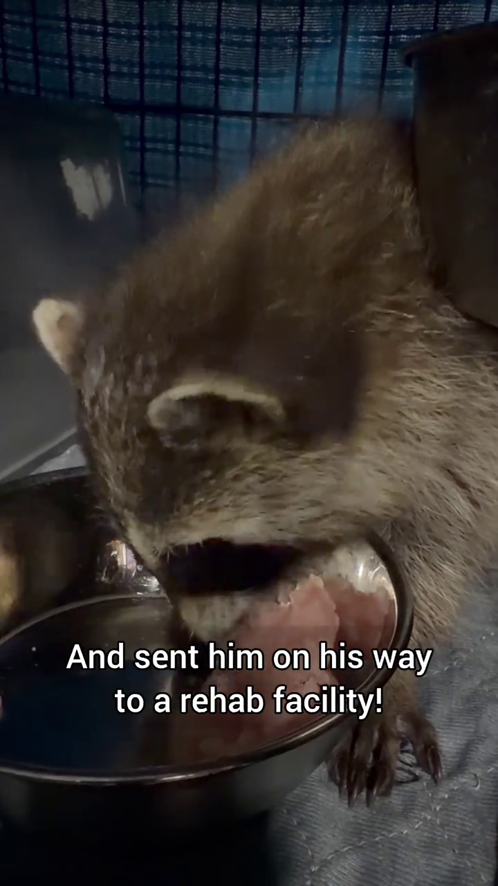 And sent him on his way to a rehab facility!