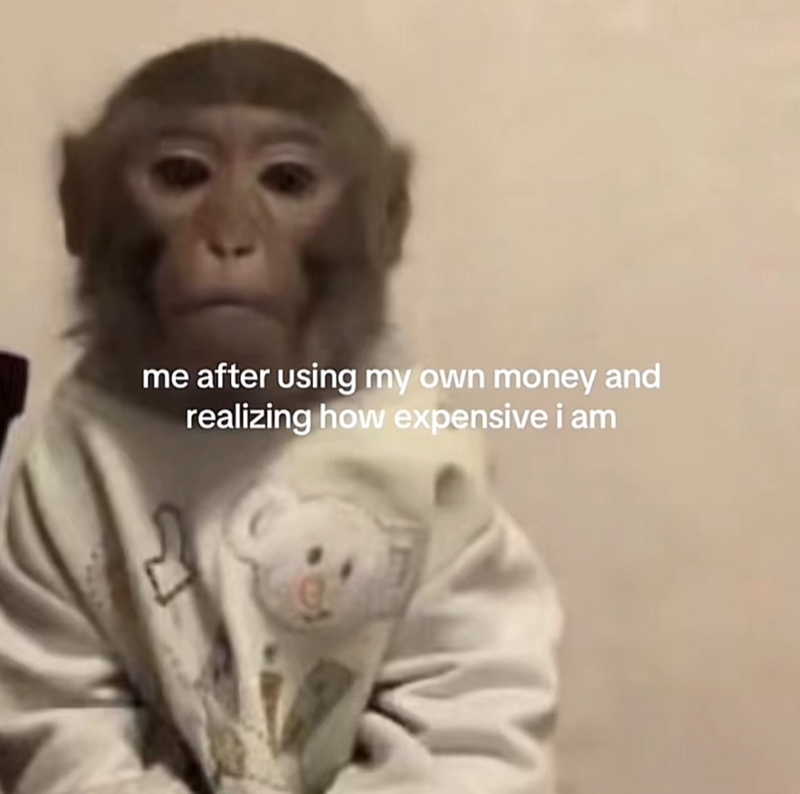 me after using my own money and realizing how expensive i am