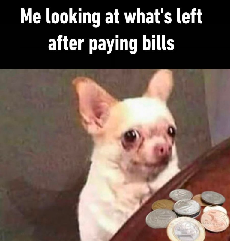 Me looking at what's left after paying bills