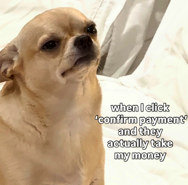 when I click 'confirm payment and they actually take my money