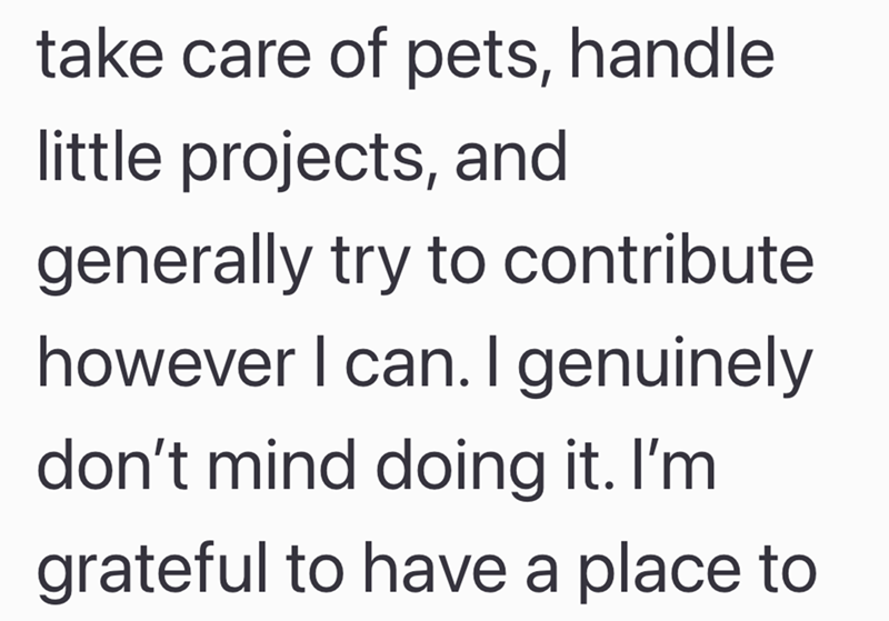 take care of pets, handle little projects, and generally try to contribute however I can. I genuinely don't mind doing it. I'm grateful to have a place to
