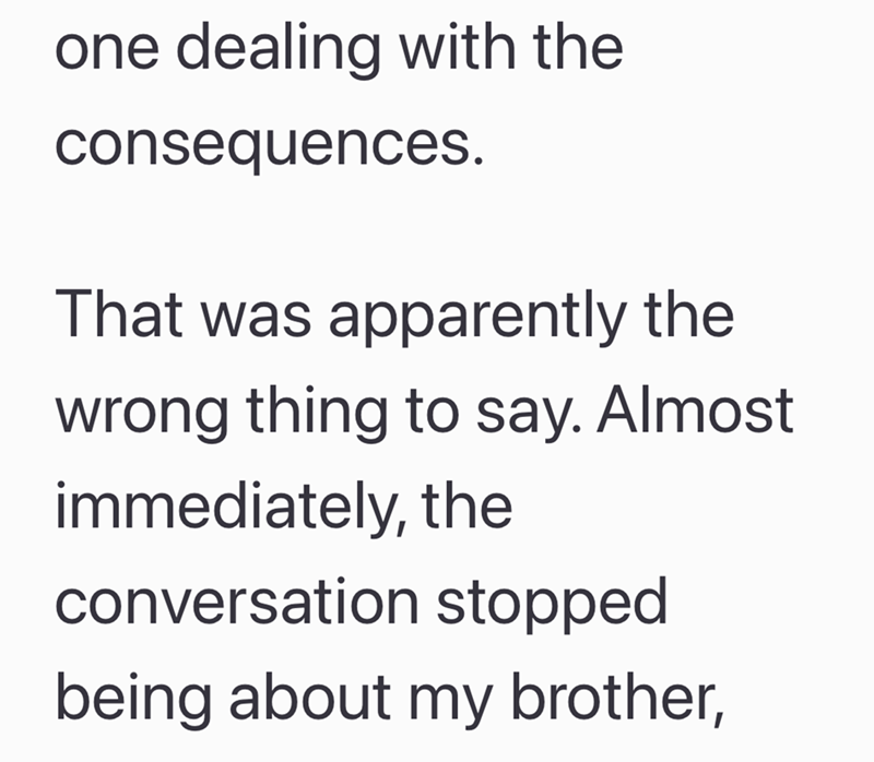 one dealing with the consequences. That was apparently the wrong thing to say. Almost immediately, the conversation stopped being about my brother,
