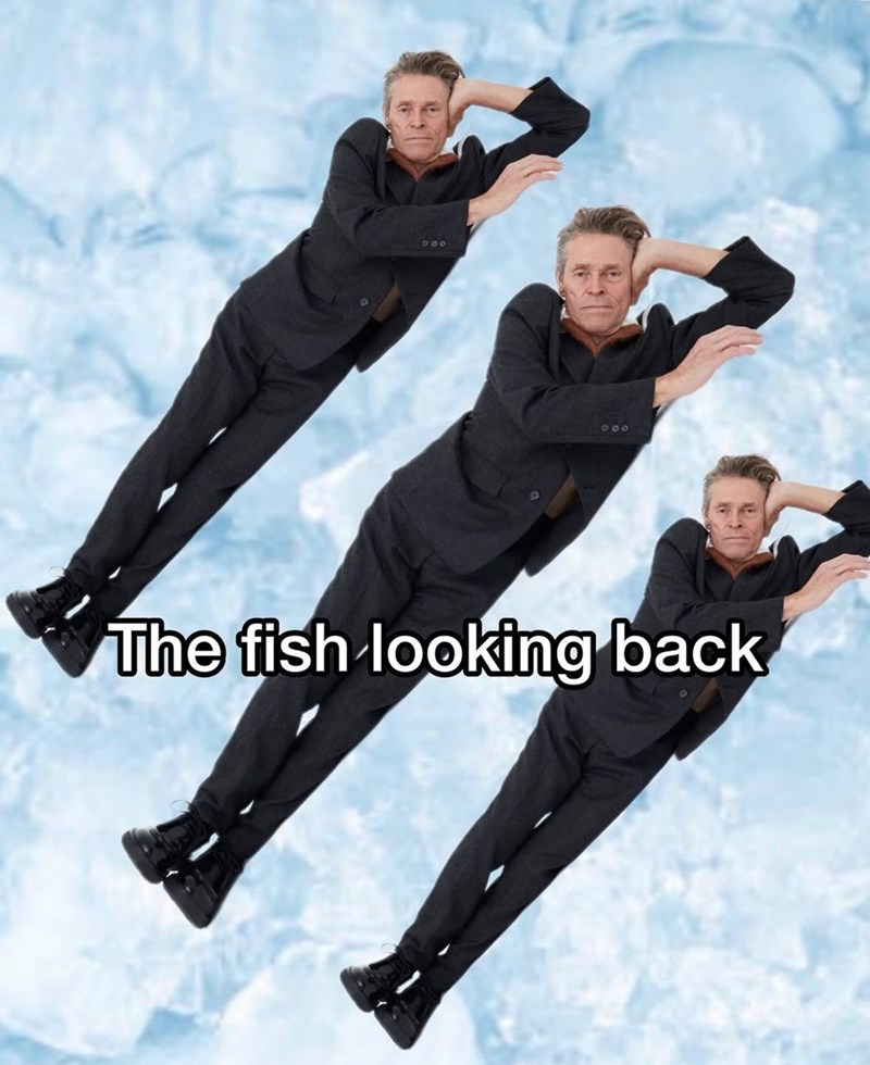 000 000 The fish looking back