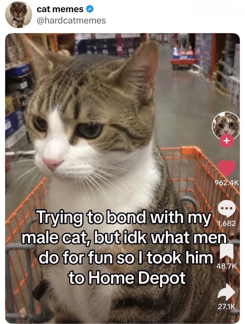 cat memes @hardcatmemes 962.4K Trying to bond with my 1,682 male cat, but idk what men do for fun so I took him to Home Depot 48.7K 27.1K