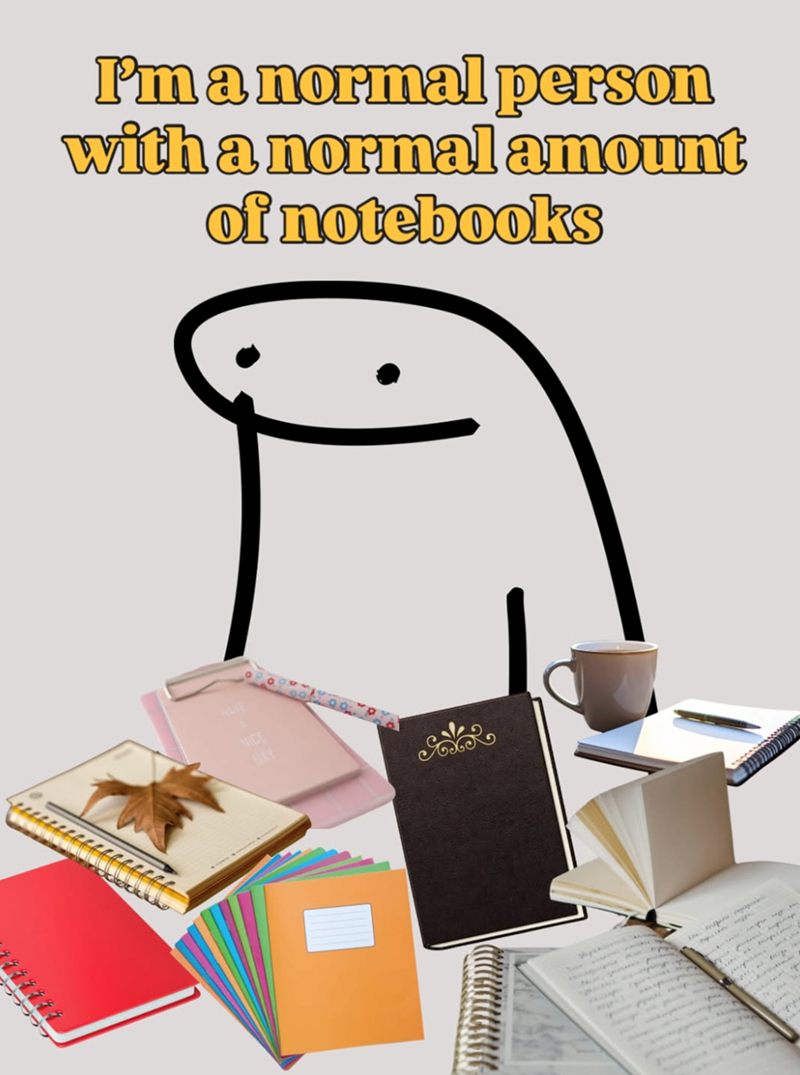 111111 I'm a normal person with a normal amount of notebooks DAY 17