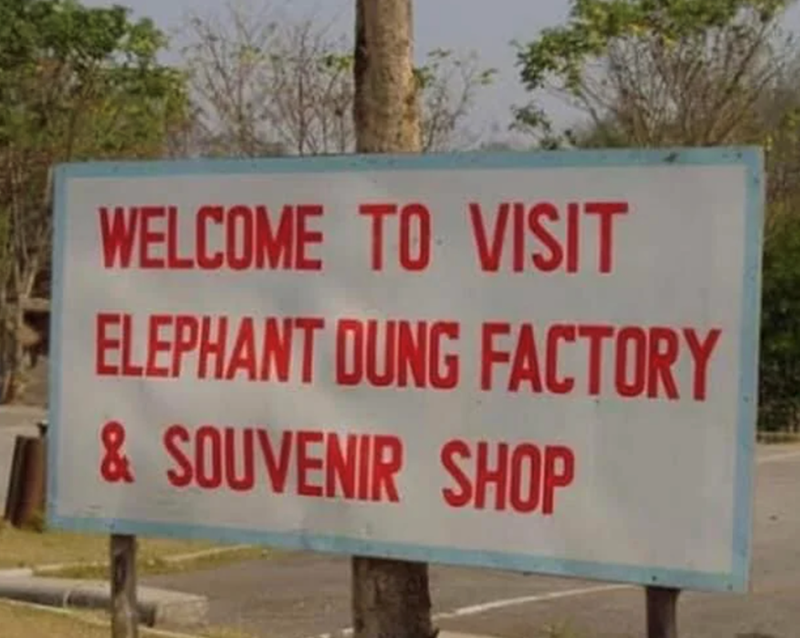 WELCOME TO VISIT ELEPHANT DUNG FACTORY & SOUVENIR SHOP