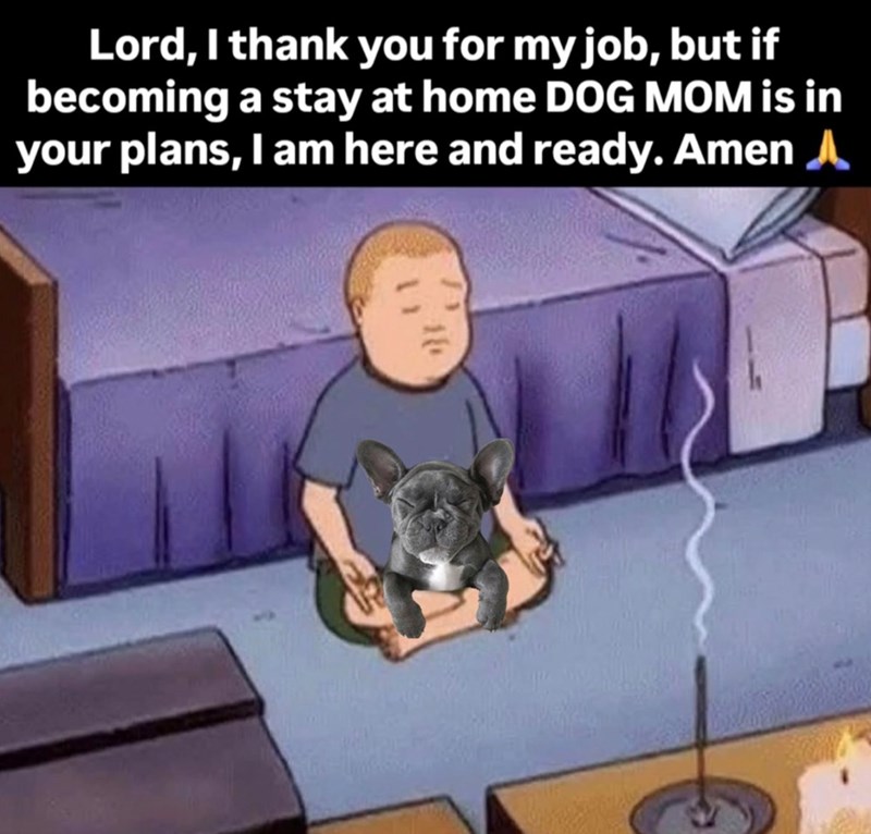Lord, I thank you for my job, but if becoming a stay at home DOG MOM is in your plans, I am here and ready. Amen A