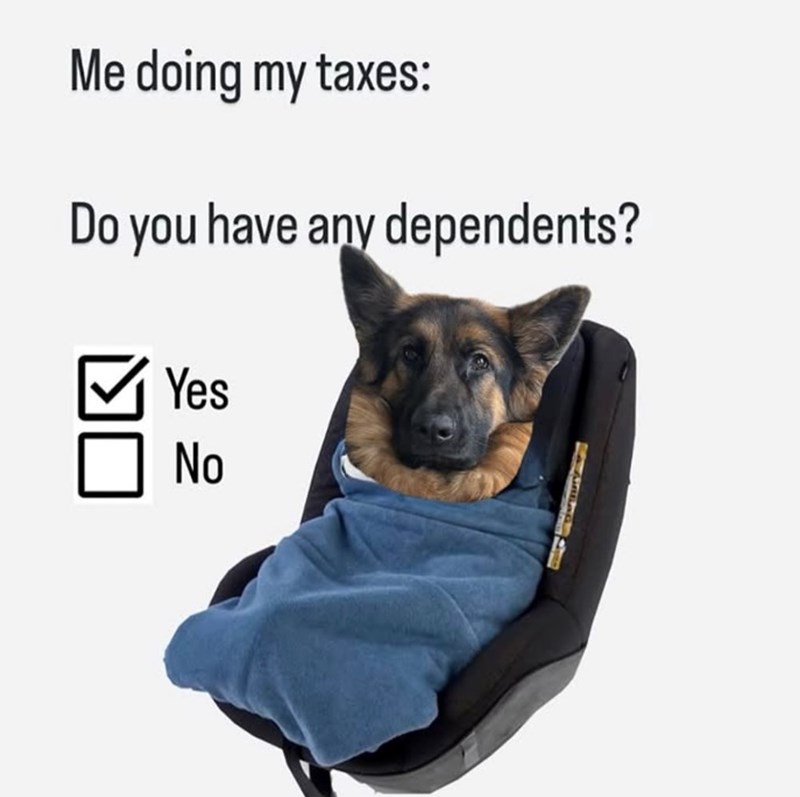 Me doing my taxes: Do you have any dependents? Yes No