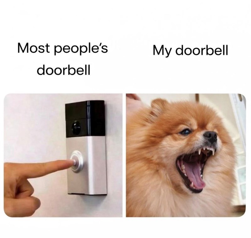 Most people's doorbell My doorbell