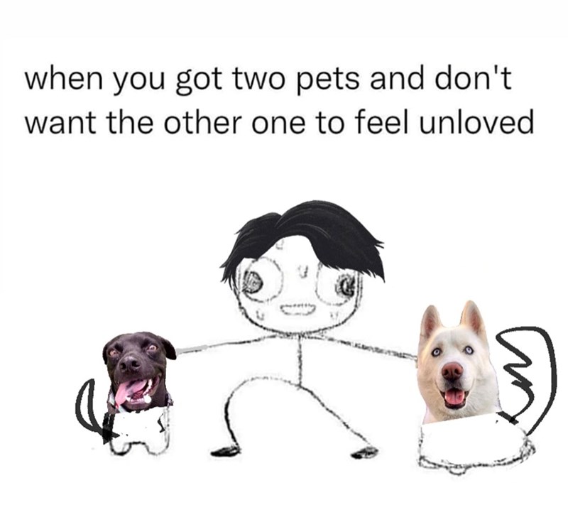 when you got two pets and don't want the other one to feel unloved