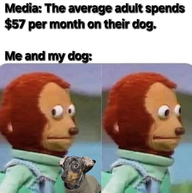 Media: The average adult spends $57 per month on their dog. Me and my dog: