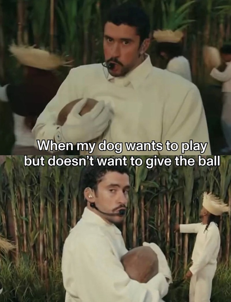 When my dog wants to play but doesn't want to give the ball