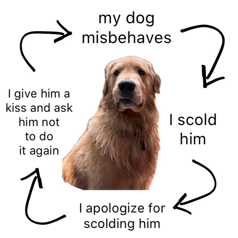 my dog misbehaves I give him a kiss and ask him not to do it again I scold him لم I apologize for scolding him