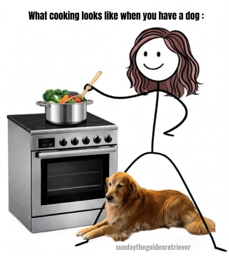 What cooking looks like when you have a dog: sundaythegoldenretriever