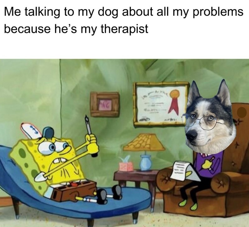Me talking to my dog about all my problems because he's my therapist G