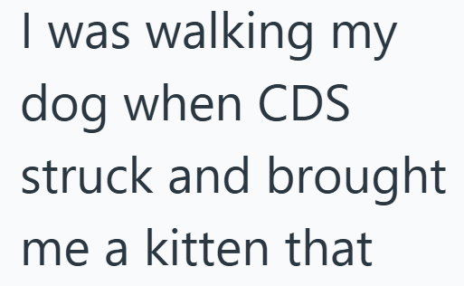 I was walking my dog when CDS struck and brought me a kitten that