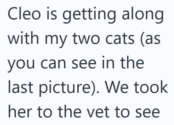 Cleo is getting along with my two cats (as you can see in the last picture). We took her to the vet to see
