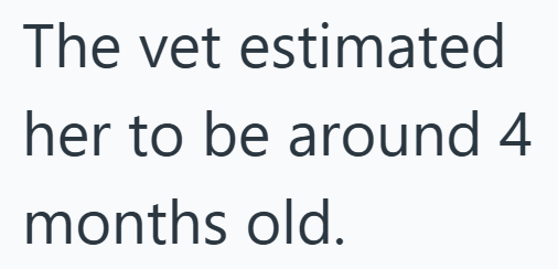 The vet estimated her to be around 4 months old.