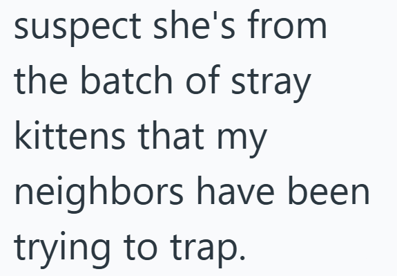 suspect she's from the batch of stray kittens that my neighbors have been trying to trap.