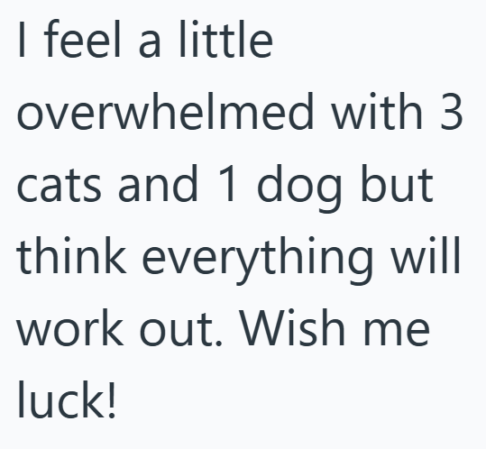 I feel a little overwhelmed with 3 cats and 1 dog but think everything will work out. Wish me luck!