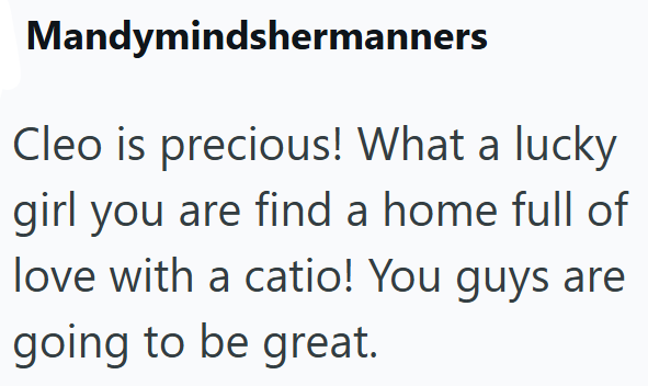 Mandymindshermanners Cleo is precious! What a lucky girl you are find a home full of love with a catio! You guys are going to be great.