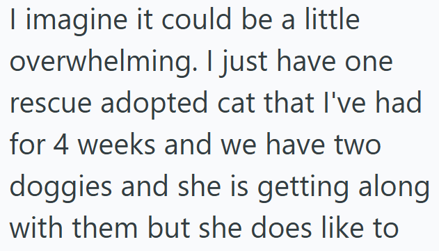 I imagine it could be a little overwhelming. I just have one rescue adopted cat that I've had for 4 weeks and we have two doggies and she is getting along with them but she does like to