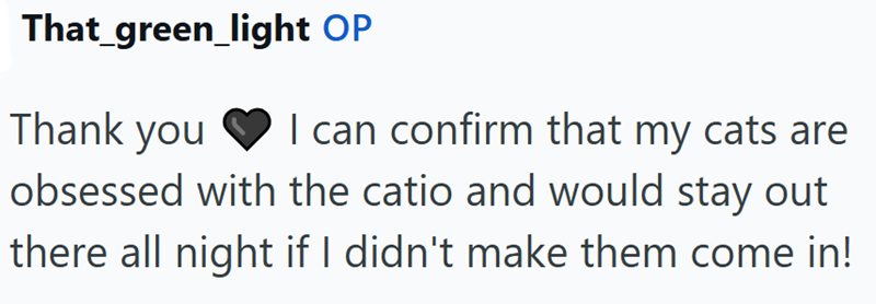 That_green_light OP Thank you obsessed with the catio and would stay out I can confirm that my cats are there all night if I didn't make them come in!