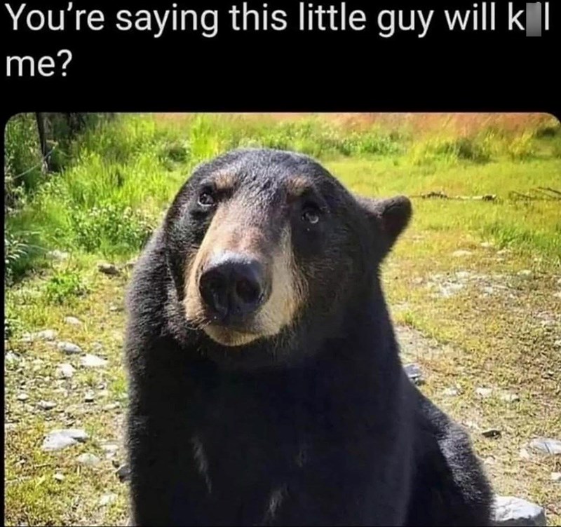 You're saying this little guy will k | me?