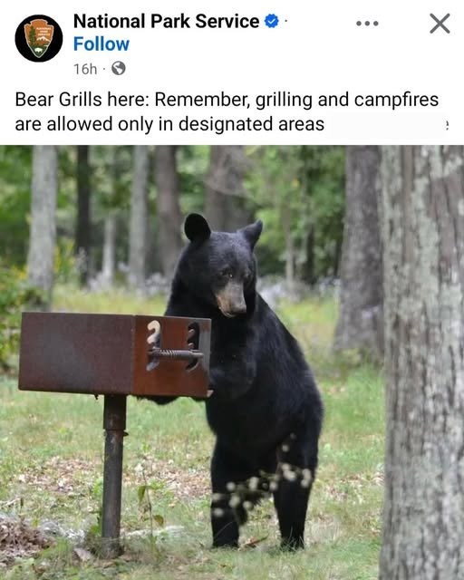 National Park Service ❤ . Follow 16h Bear Grills here: Remember, grilling and campfires are allowed only in designated areas 2
