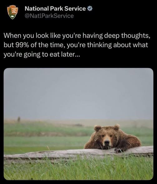 National Park Service @NatlParkService When you look like you're having deep thoughts, but 99% of the time, you're thinking about what you're going to eat later...