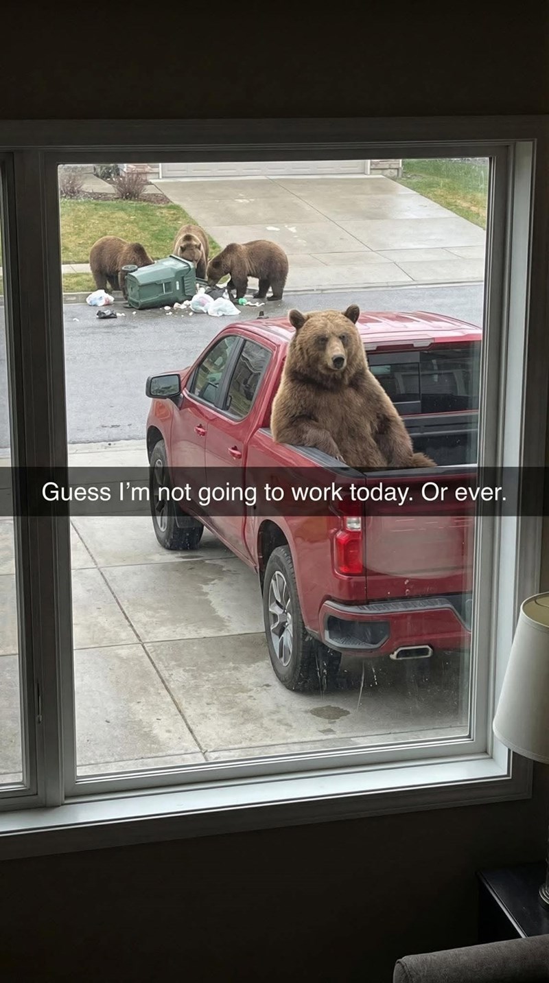 Guess I'm not going to work today. Or ever.