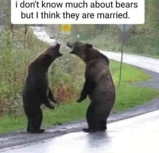 i don't know much about bears but I think they are married.