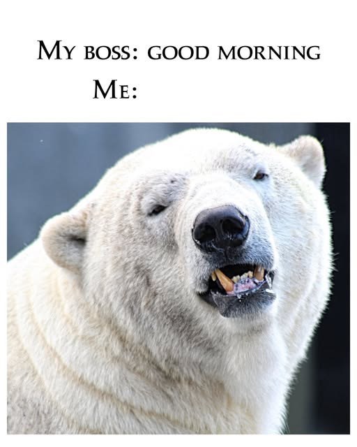 MY BOSS: GOOD MORNING ME: