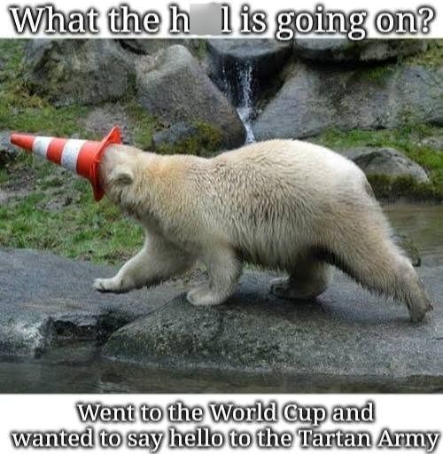 What the h l is going on? Went to the World Cup and wanted to say hello to the Tartan Army