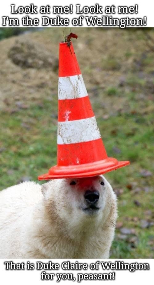 Look at me! Look at me! I'm the Duke of Wellington! That is Duke Claire of Wellington for you, peasant!