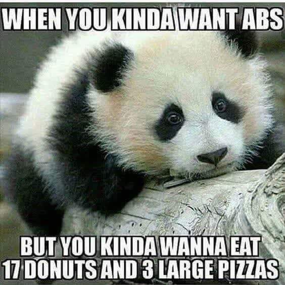 WHEN YOU KINDA WANT ABS BUT YOU KINDA WANNA EAT 17 DONUTS AND 3 LARGE PIZZAS