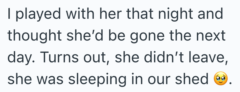 I played with her that night and thought she'd be gone the next day. Turns out, she didn't leave, she was sleeping in our shed