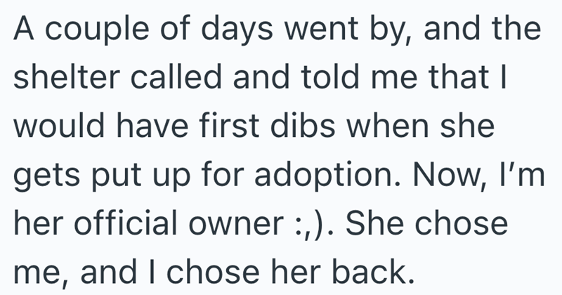 A couple of days went by, and the shelter called and told me that I would have first dibs when she gets put up for adoption. Now, I'm her official owner :,). She chose me, and I chose her back.