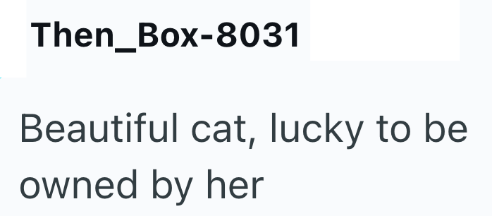 Then_Box-8031 Beautiful cat, lucky to be owned by her