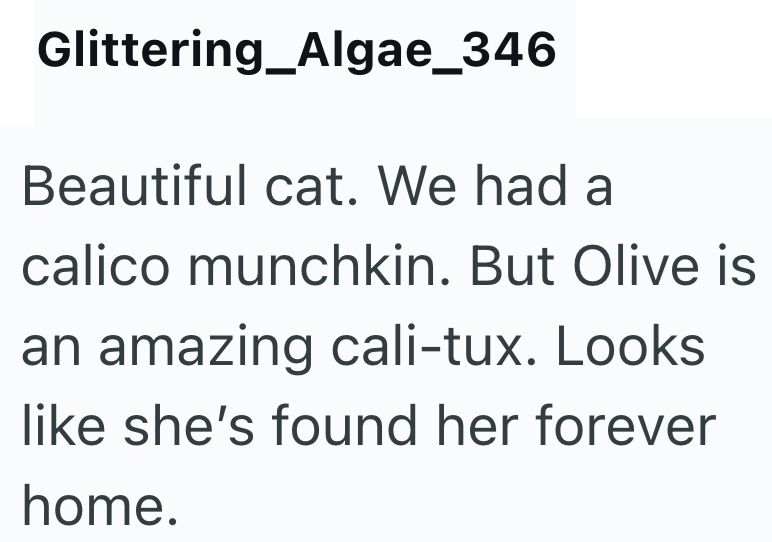 Glittering_Algae_346 Beautiful cat. We had a calico munchkin. But Olive is an amazing cali-tux. Looks like she's found her forever home.