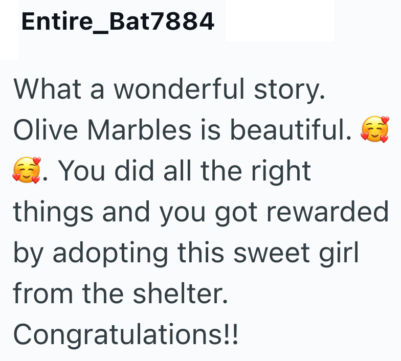 Entire Bat7884 What a wonderful story. Olive Marbles is beautiful. G . You did all the right things and you got rewarded by adopting this sweet girl from the shelter. Congratulations!!