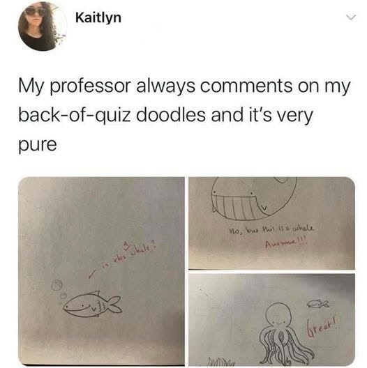 Kaitlyn My professor always comments on my back-of-quiz doodles and it's very pure the whale? no, but this is a whale Awesome!!! Great!