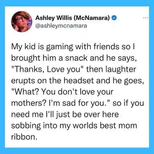 Ashley Willis (McNamara) → @ashleymcnamara My kid is gaming with friends so l brought him a snack and he says, "Thanks, Love you" then laughter erupts on the headset and he goes, "What? You don't love your mothers? I'm sad for you." so if you need me I'll just be over here sobbing into my worlds best mom ribbon. www