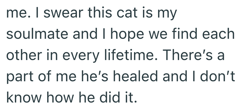 me. I swear this cat is my soulmate and I hope we find each other in every lifetime. There's a part of me he's healed and I don't know how he did it.