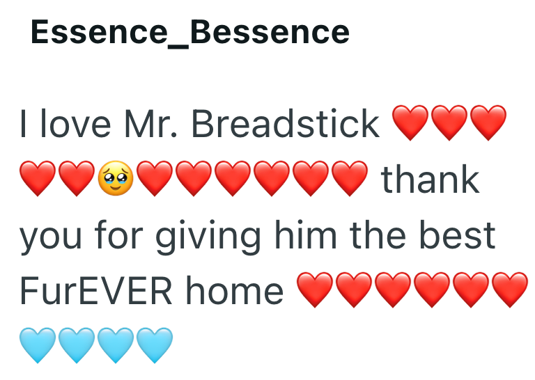 Essence_Bessence I love Mr. Breadstick thank you for giving him the best FurEVER home