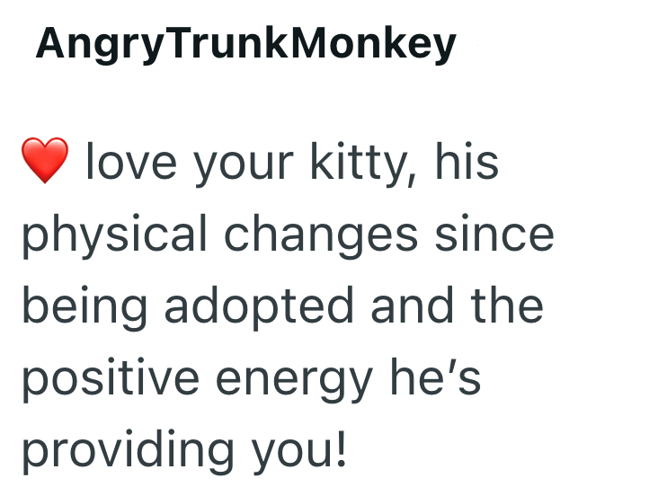 AngryTrunk Monkey love your kitty, his physical changes since being adopted and the positive energy he's providing you!