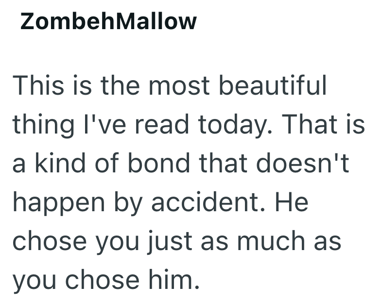 ZombehMallow This is the most beautiful thing I've read today. That is a kind of bond that doesn't happen by accident. He chose you just as much as you chose him.
