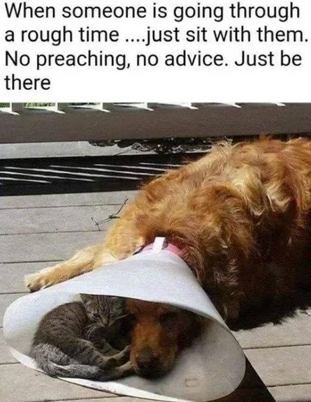 When someone is going through a rough time....just sit with them. No preaching, no advice. Just be there