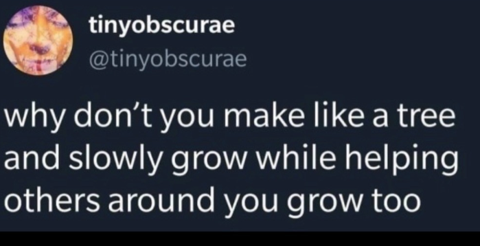 tinyobscurae @tinyobscurae why don't you make like a tree and slowly grow while helping others around you grow too