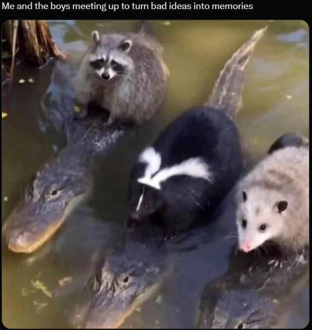 Me and the boys meeting up to turn bad ideas into memories